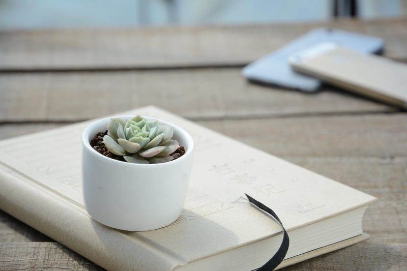 Vertical Planters